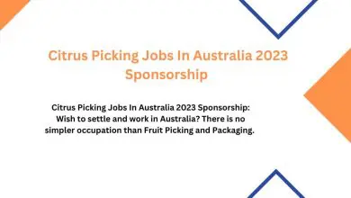 Photo of Citrus Picking Jobs In Australia 2023 Sponsorship