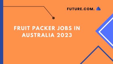 Photo of Fruit Packer Jobs in Australia 2023-Apply Now