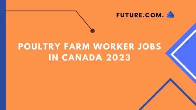 Photo of Poultry farm worker Jobs In Canada 2023