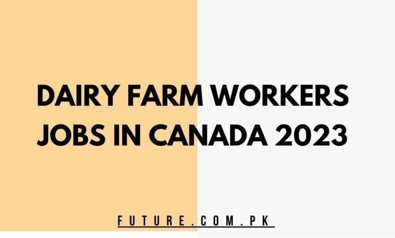 Dairy Farm Workers Jobs In Canada 2023