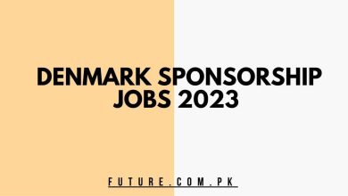 Photo of Denmark Sponsorship Jobs 2023 – Apply Now