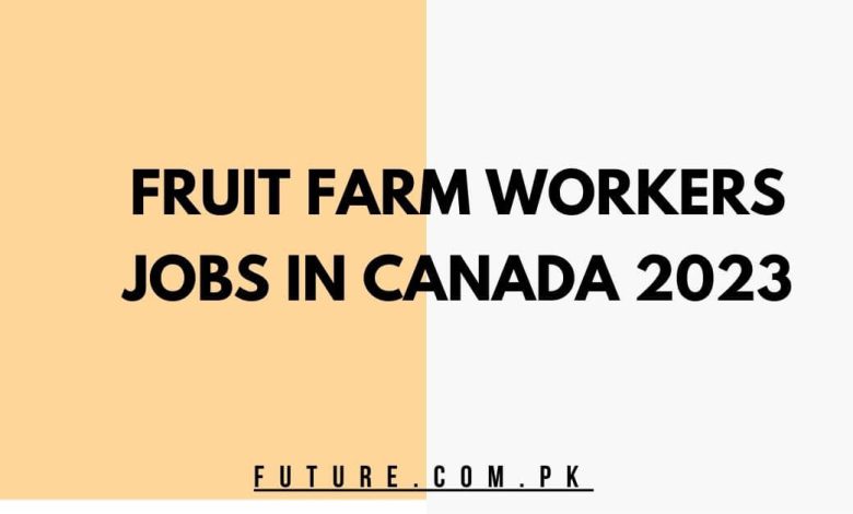 Photo of Fruit Farm Workers Jobs In Canada 2023 – Apply Now
