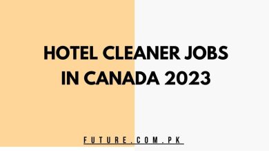 Photo of Hotel Cleaner Jobs In Canada 2023 – Apply Now